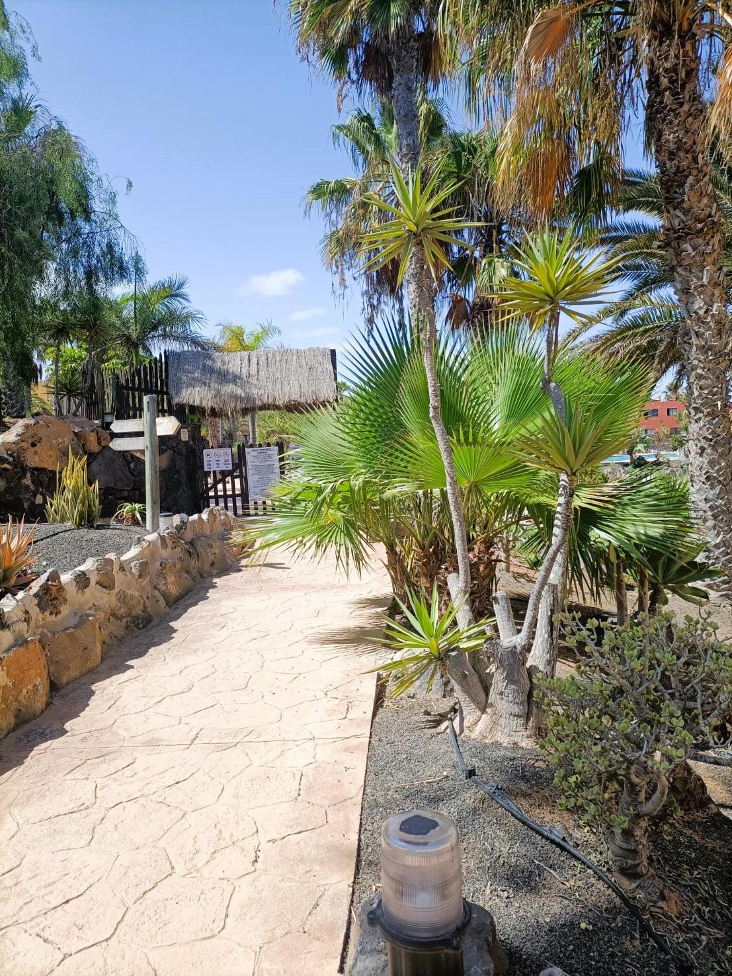 Casa Vacanza In Oasis Tamarindo كوراليهو المظهر الخارجي الصورة